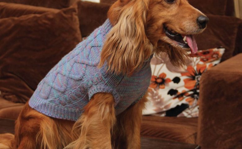 Dog Wool Jumper – 100% Mongolian Wool