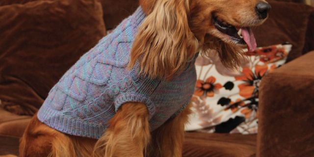 “Churpees” छुर्पी or "durkha" Dog Wool Jumper – 100% Mongolian Wool