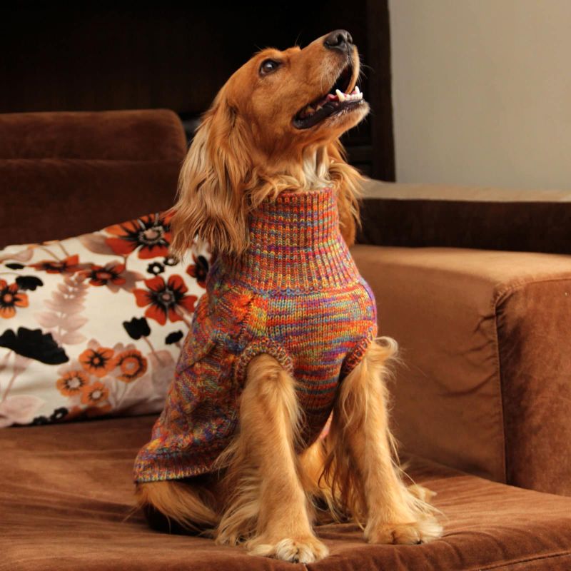 Home Everest doggo Sweater