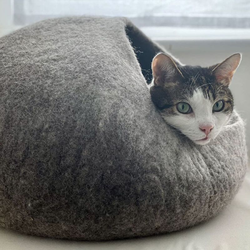 Home Everest Pet Cave